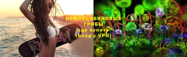 ПСИЛОЦИБИНОВЫЕ ГРИБЫ Балабаново