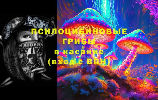 ПСИЛОЦИБИНОВЫЕ ГРИБЫ Балабаново