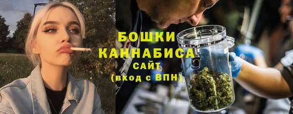 ПСИЛОЦИБИНОВЫЕ ГРИБЫ Балабаново