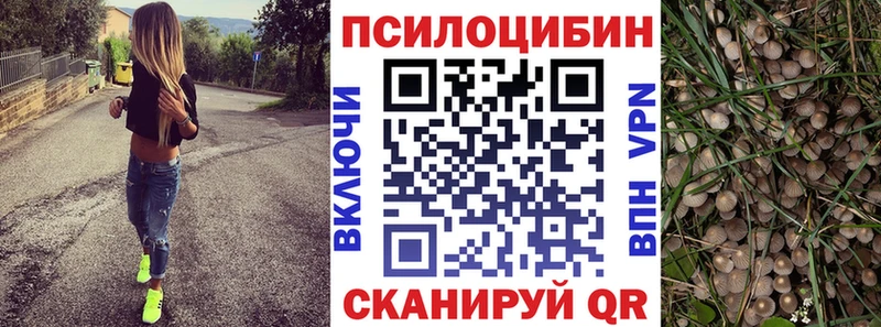 цена наркотик  Белокуриха  Псилоцибиновые грибы Psilocybine cubensis 